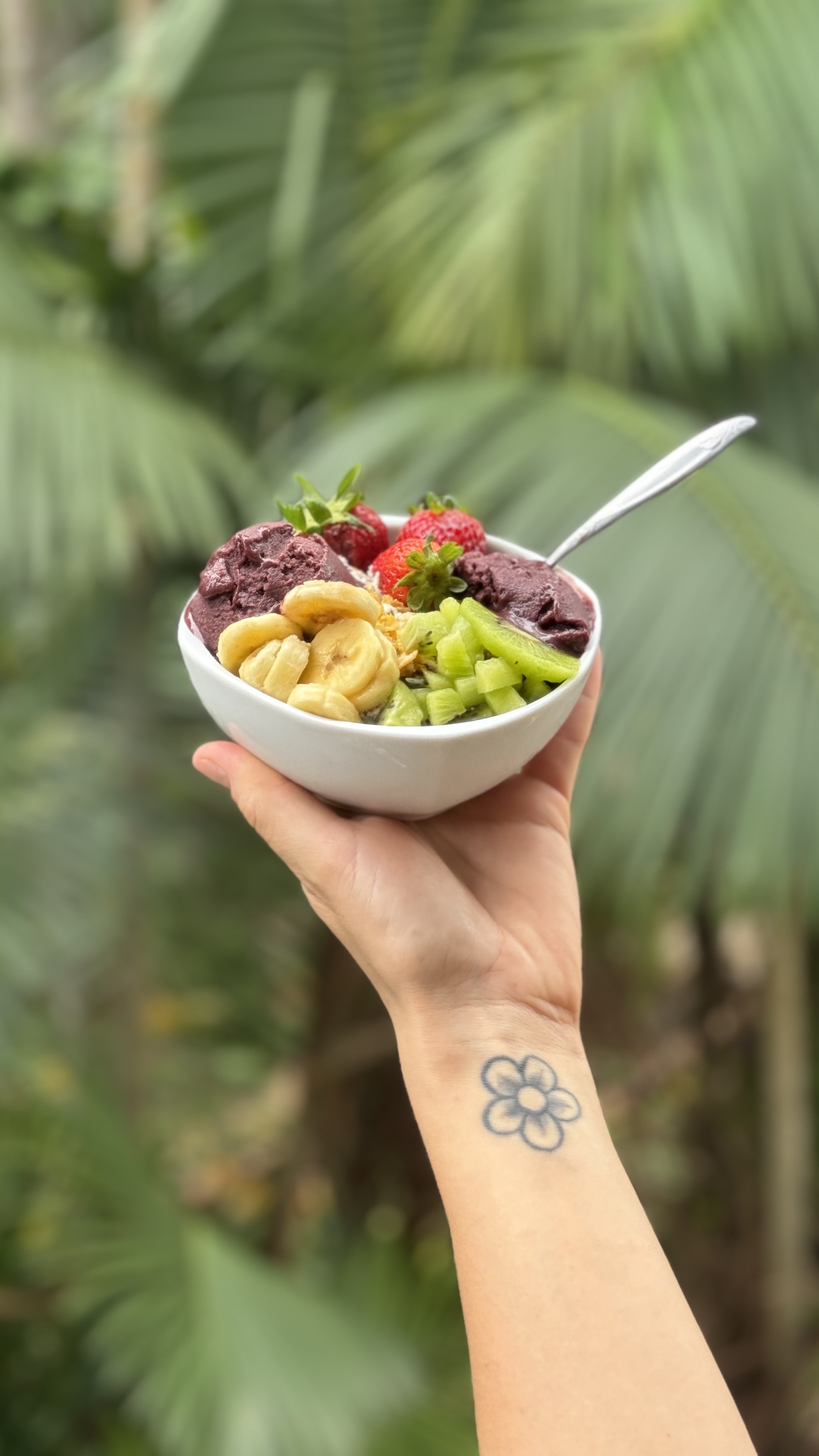 Rei do Açaí